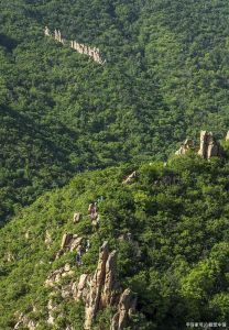 山东原始林始原东山