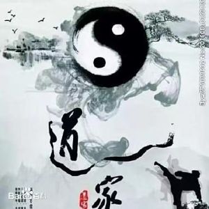 叶天来：言中导语道宗言