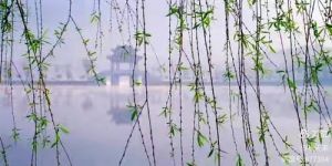 烟锁池塘柳