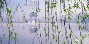 &nbsp;烟锁池塘柳