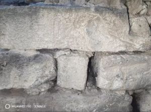 家东园“明砖&nbsp;”