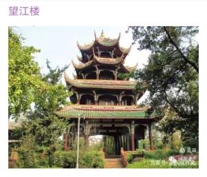 望江楼上望江流