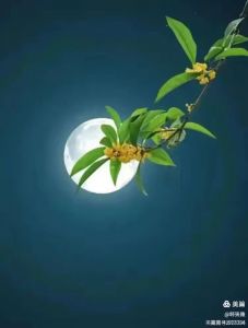 夜&nbsp;&nbsp;&nbsp;&nbsp;思