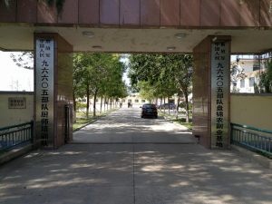 移交地方 移交地方