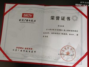 词作者获得全国金奖证书