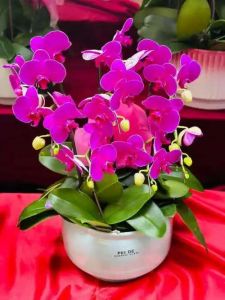 谈谈地铁公交让座