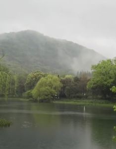 他山有雨曾留梦