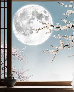 时月多情枉入迷