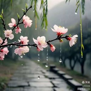 沾衣欲湿杏花雨，吹面不寒杨柳风‌。