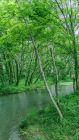 绿野本无红，因秋赤面
