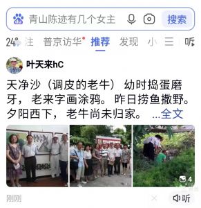 荣登百度推存