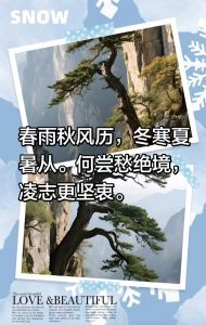 《咏崖柏》‌