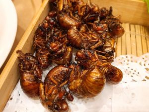 儿时美味