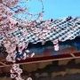 风季