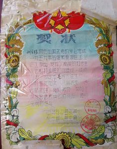 1959年，我母亲荣获海南琼中县“一等先进工作者”奖。