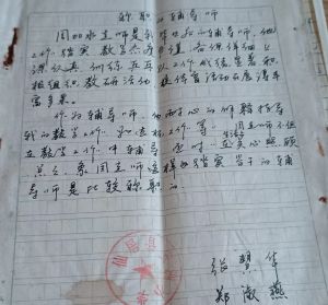 培养新教师评价