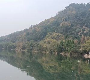 坝上游