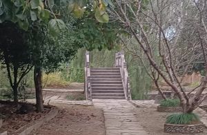 小桥流水