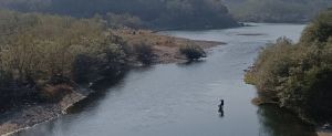 一个人在溪中钓鱼