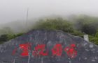 梧桐山