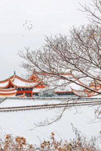 美丽雪乡