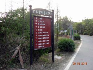 路上