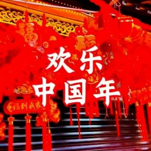 中国年 中国年