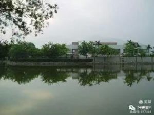 鹧鸪天.灰霾天
