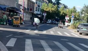步路村