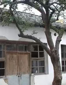 校四合院边西北角食堂