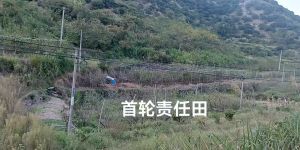 责任田