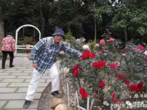 玫瑰花中有勇男 玫瑰花中有勇男