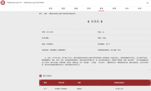 中国非物质文化遗产网·中国非物质文化遗产数字博物馆