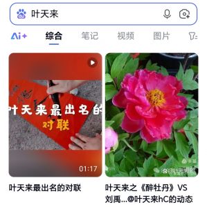 今日百度搜叶天来即见