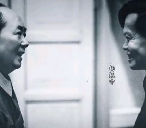 毛主席会见杨振宁