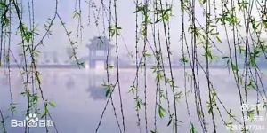 烟锁池塘柳，金燎澳地楼