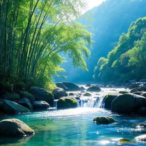 风过幽篁天籁声 风过幽篁天籁声