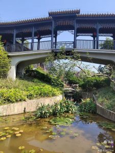 广州文化馆 广州文化馆