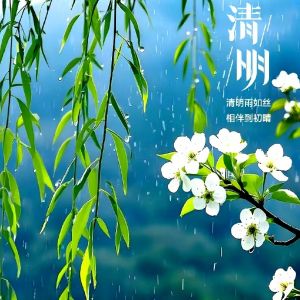 清明的雨