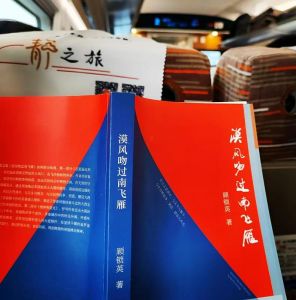夏老师在高铁上阅读《漠风吻过南飞雁》散文集 夏老师在高铁上阅读《漠风吻过南飞雁》散文集