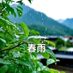 春雨