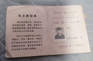 毕业证 毕业证