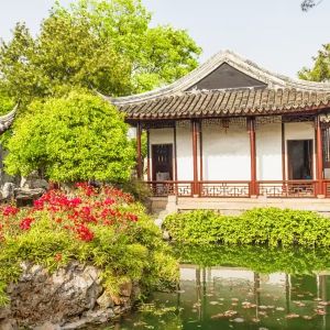 笑傲人生