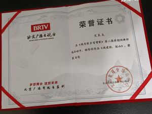 曲作家获全国金奖证书照片
