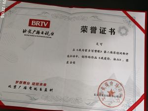 曲作家获全国金奖证书照片