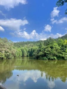 题滴水岩 题滴水岩