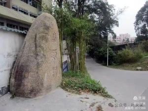 寻觅岭头农场 寻觅岭头农场
