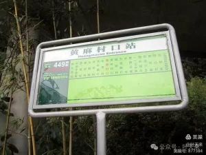 寻觅岭头农场 寻觅岭头农场
