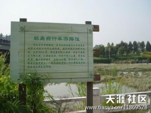 长洲主题宣传
长洲主题宣传