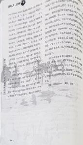 胡杨林